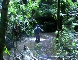 COSTA RICA, UN PAIS VIRGEN, DE NOVIOS