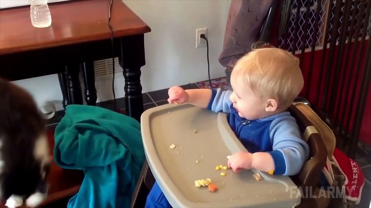 Cats Being Jerks Video Compilation    FailArmy
