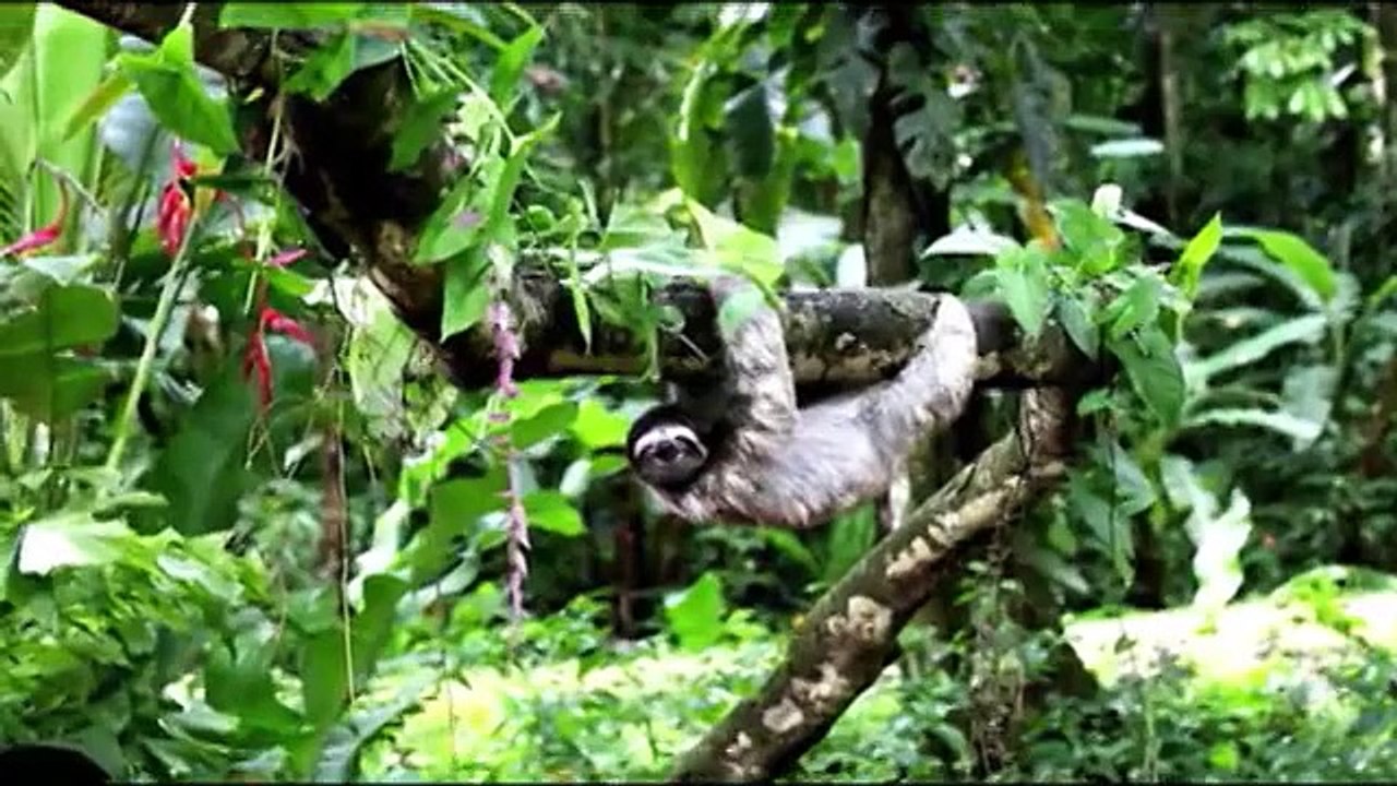 (Video) Vea cómo se grabó el video promocional...