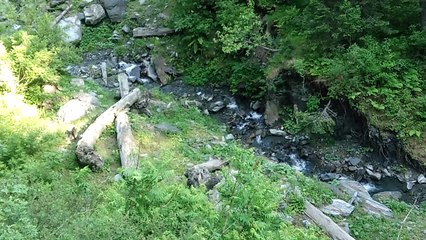 sameer saahil with friends sharan forest part 2