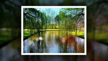 Миро ft. Мариана Попова - Kadosh