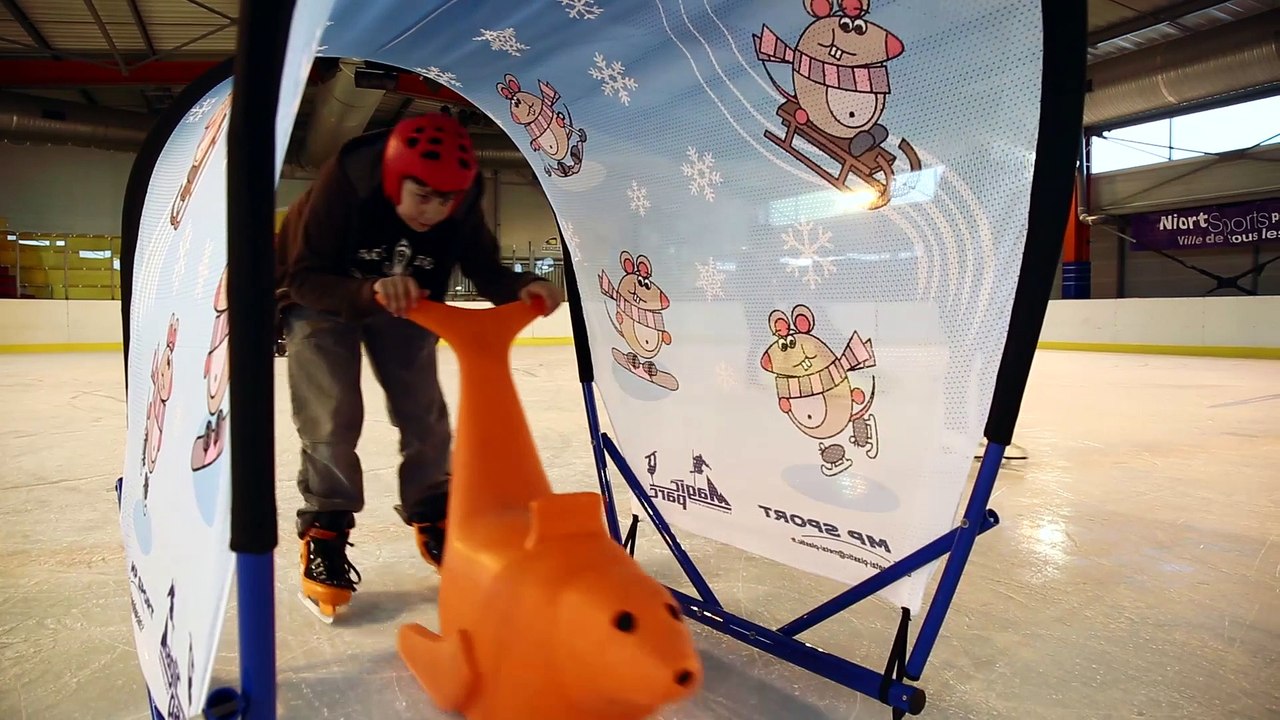 Patinoire de Niort : Projet Handiglisse