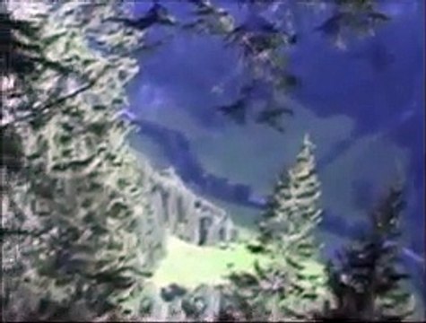 Almabtrieb Bodenalm Tiroler Grauvieh kuisa