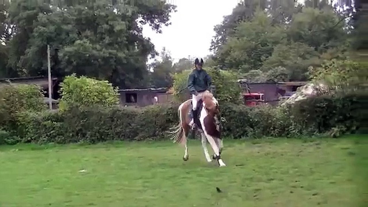 Tinka XC