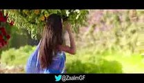 Janib (Dilliwaali Zaalim Girlfriend)_Video Dailymotion