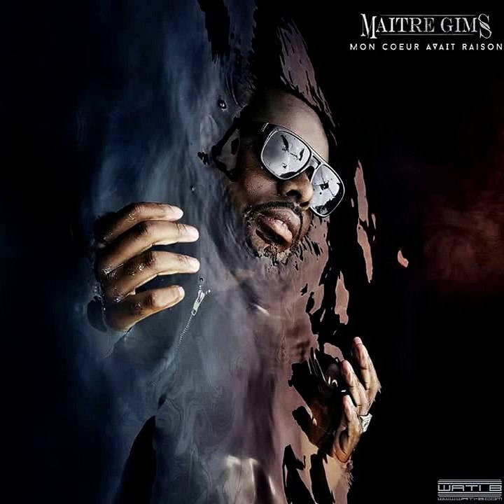 Maitre Gims - I see you again
