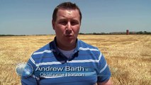 Amber Waves of Grain (Wheat Harvest 2012)