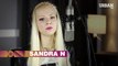 Sandra N - Wrecking Ball _Video Dailymotion