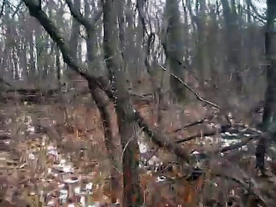 More Dogman/Bigfoot Structures in Rock County, Wisconsin found 12/14