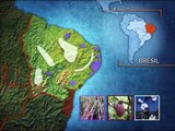 Mit offenen Karten - Brasilien 1 - Ein brasilianisches Jahr - Mai 2005