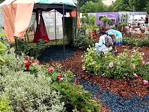 Фестиваль садов и цветов посвящается розе