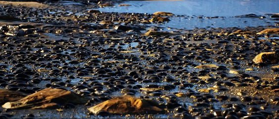 UE4 - Substance Designer