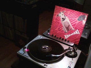 Adamski - I Dream of You