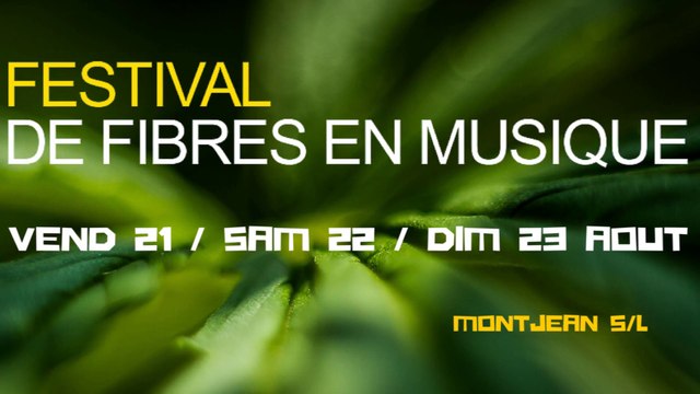 FESTIVAL DE FIBRES EN MUSIQUE 2015 - 21 / 22 / 23 AOUT MONTJEAN SUR LOIRE - Maine et Loire