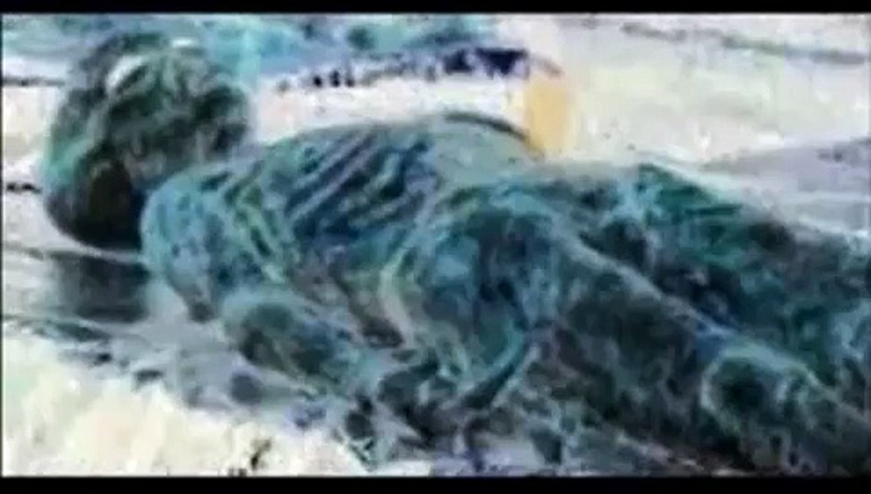 REAL! Não assista, cenas fortes! CORPOS DE ALIENÍGENAS RESGATADOS.