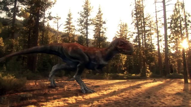 Animation Demo - Sventevith Animation Studio