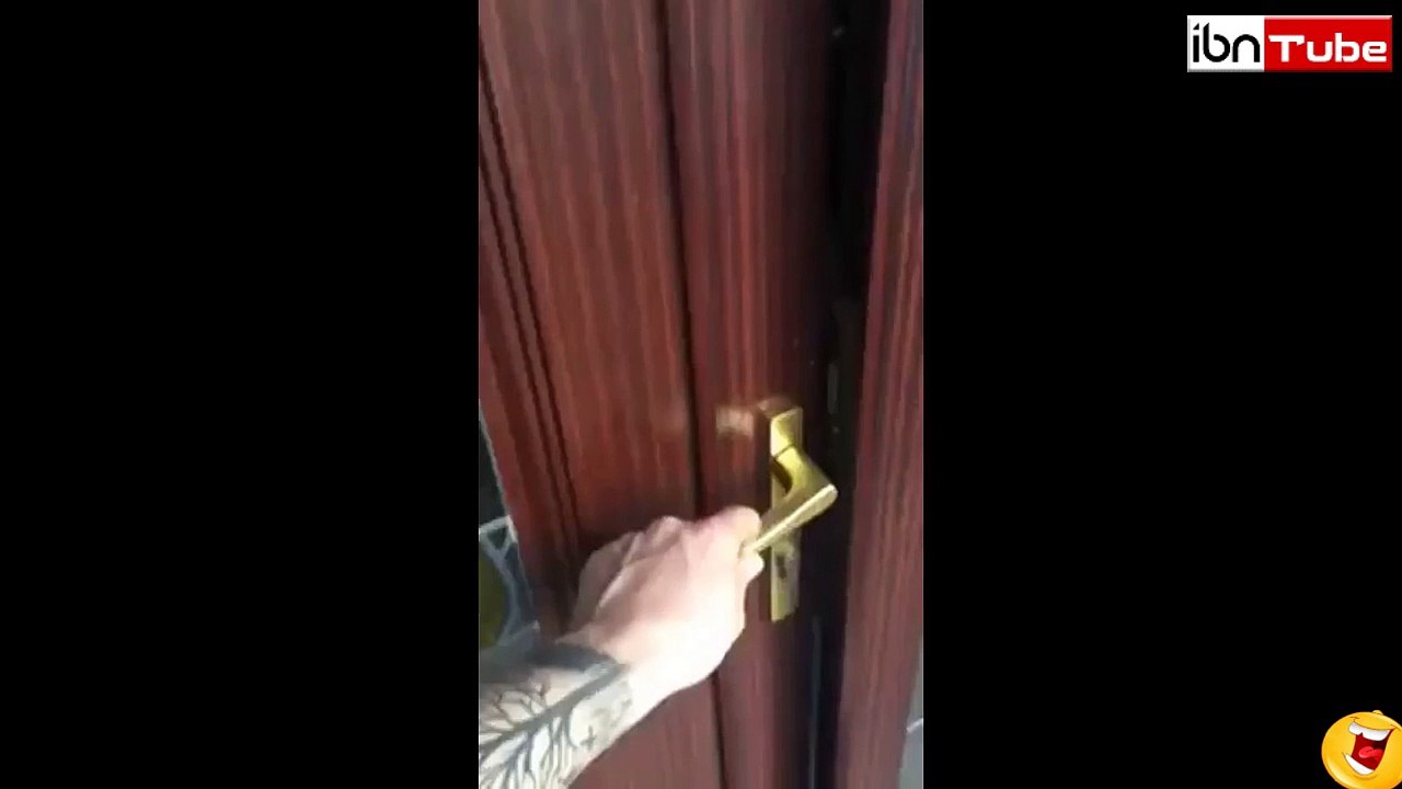 The best Watchdog - iBNTube