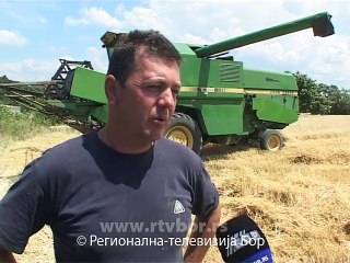 Počela žetva ječma, 30. jun 2015. (RTV Bor)