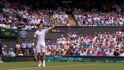 Bird during the match between Djokovic and Kohlschreiber