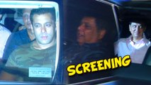 Salman Khan at Bajrangi Bhaijaan Screening