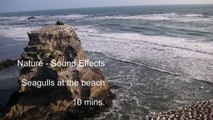 Nature Sounds - Seagulls on the Beach - Sound effects - 10 mins