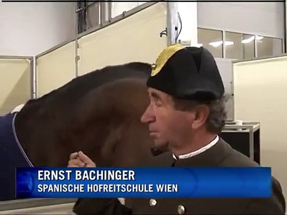 Reiter-Gala: Spanische Hofreitschule Wien auf Deutschland-Tour