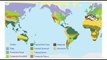 Earth's Climate -  Climate Zones and Biomes