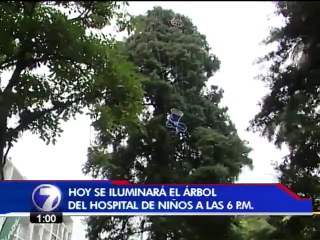 Un �rbol y miles de luces iluminar�n la navidad en el Hospital de Ni�os