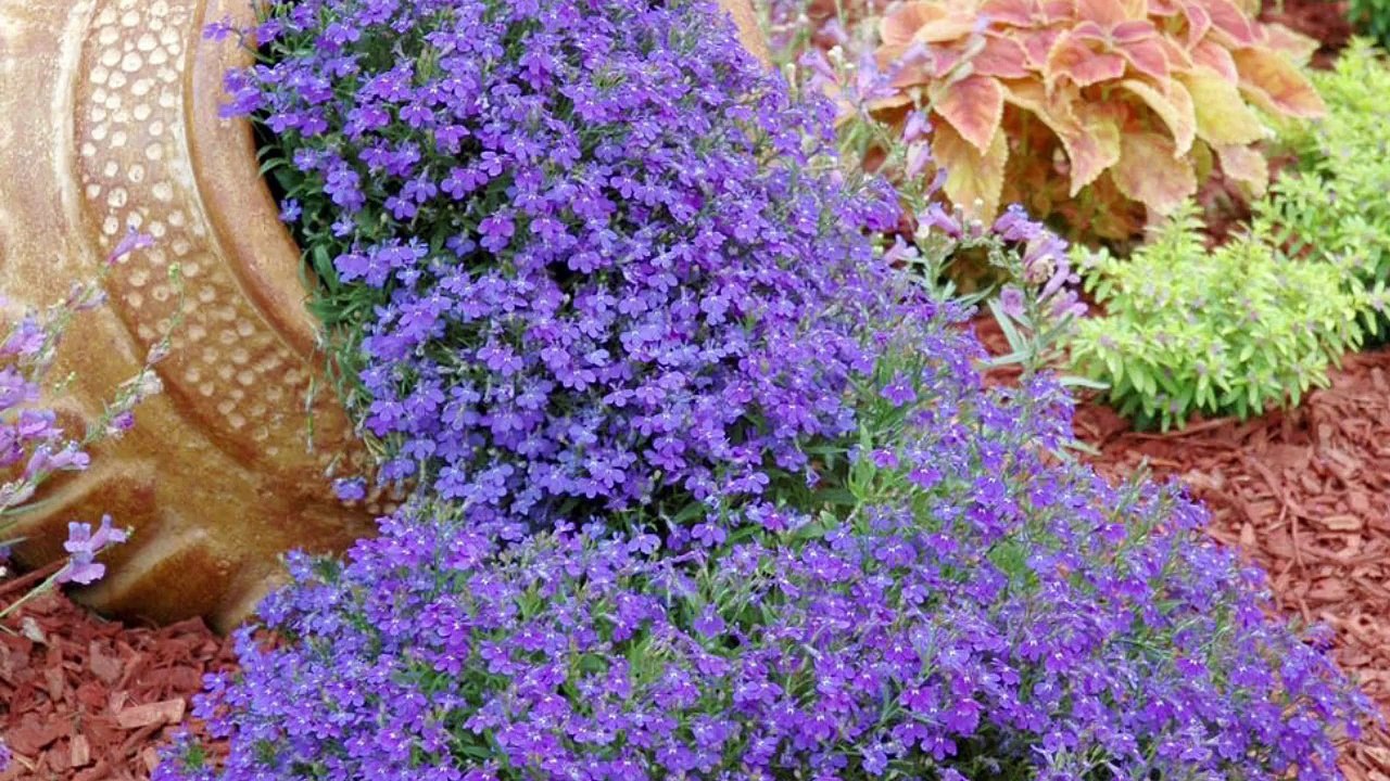 English stiff upper lip policies: stiff it!