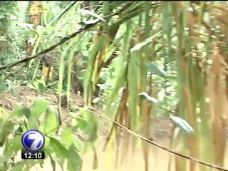 Polic�a de Fronteras vigila a diario varios puntos de la Isla Calero