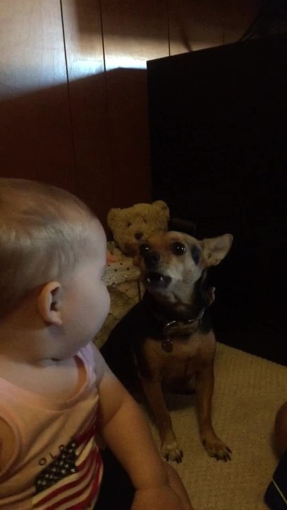 Priceless singing duet between dog and baby