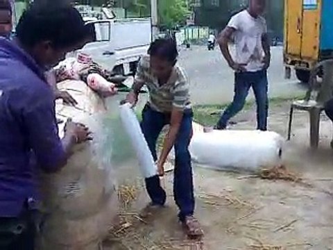 By santosh kumar shardul 01:43 BIKE TRANSPORTATION & PACKING BY C L S PACKERS & MOVERS JAMSHEDPUR 9835117420 BIKE TRANSPORTATION & PACKING BY C L S PACKERS & MOVERS