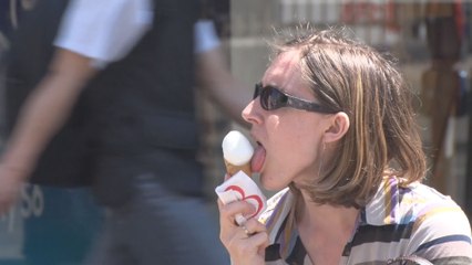 Jusqu'à 38 degrés pour la fin de la semaine, la vigilance est de mise