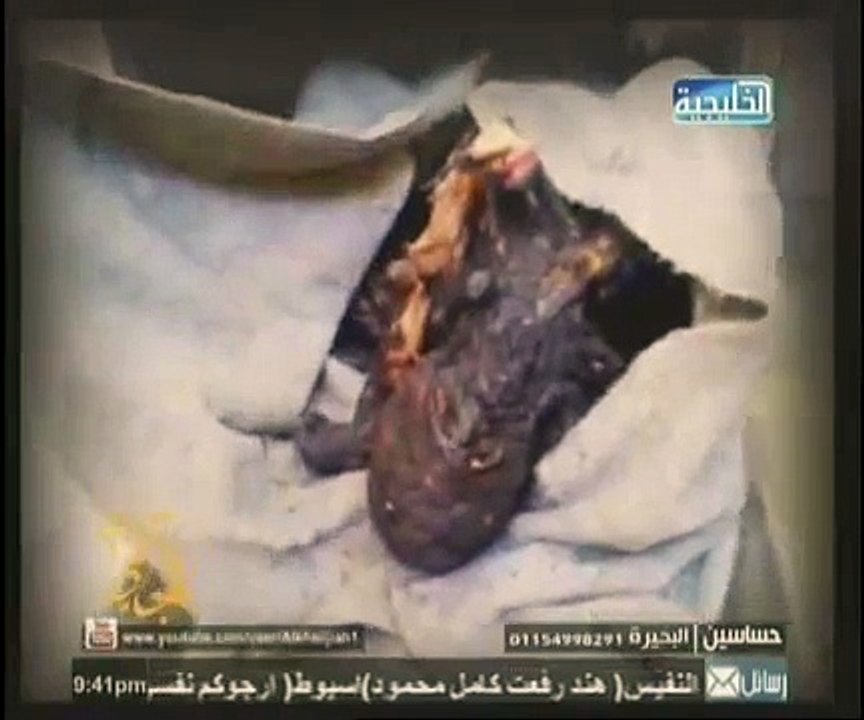 ابشع قضية قتل 2 فى المحله الكبرى من الجانى  أ ( احمد بدوى ) تحياتى خالد فرج جزء 2