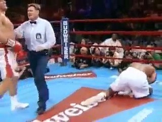 Especial De Box - Andrew Golota v/s Riddick Bowe 2