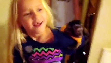 Sahibini Uzun Zaman Sonra İlk Kez Gören Yavru Maymun