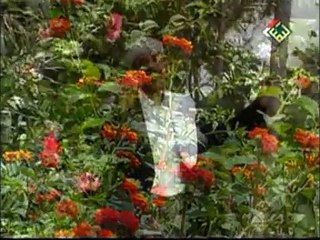 ايوب طارش بالله عليك وامسافر Yemeni Music Ayoob Tarish