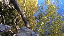 Nokia N8 sample video - Finnish autumn nature