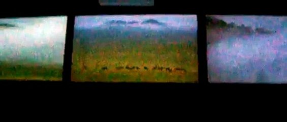 Big Cat Falls short film at the Philadelphia Zoo