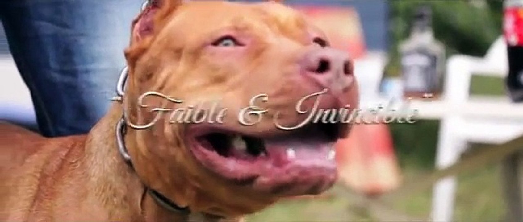 Escobar Macson Ft. Seth Gueko - Faible & Invincible