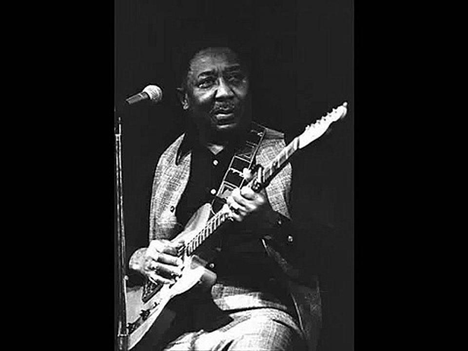 MUDDY WATERS / DUST MY BROOM video Dailymotion