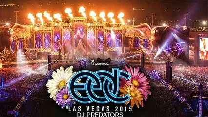 Las Vegas 2015 - DJ PREDATORS