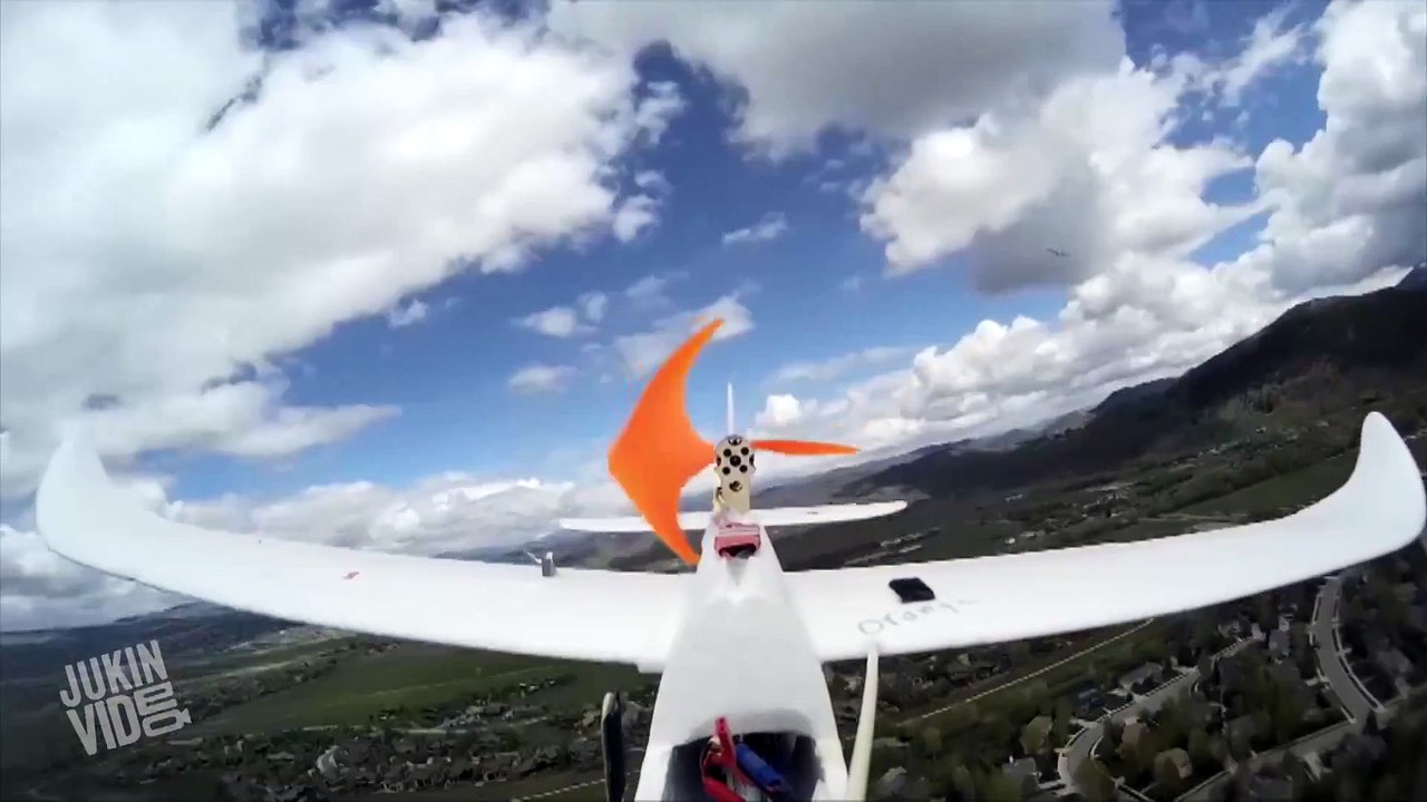 Hawks Attacks Plane | Unfriendly Skies