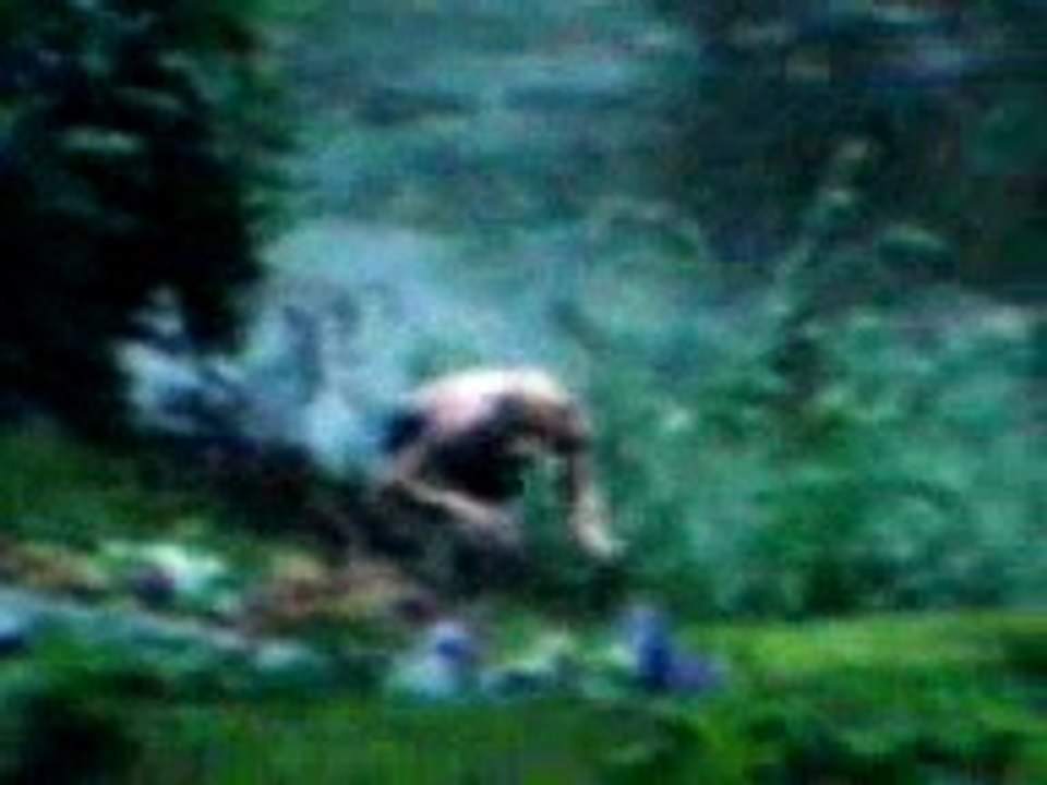 Pigman