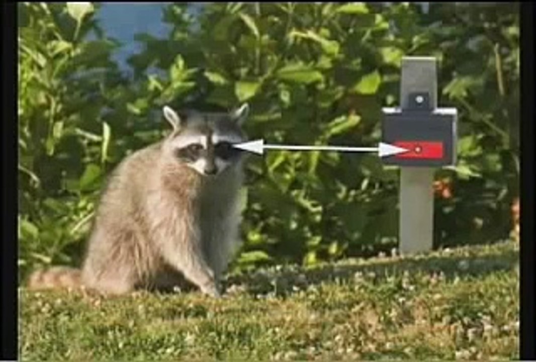 Solar Nite Guard Predator Control