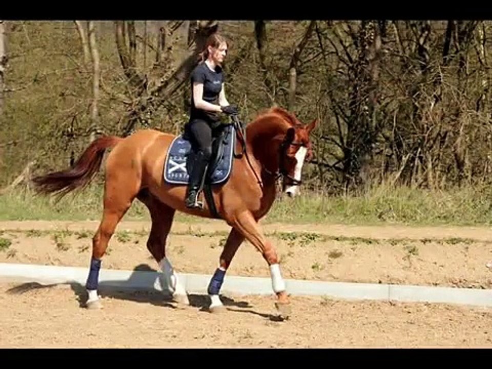 Laurianne