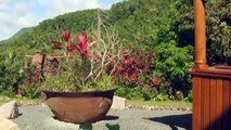 Soufriere, Pitons, Sulphur Springs, Ladera, Diamond Falls - St Lucia