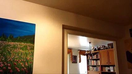 Paper Planes - How to make a Paper Airplane - Paper Airplanes - Origami that Flies Far | Spaniard