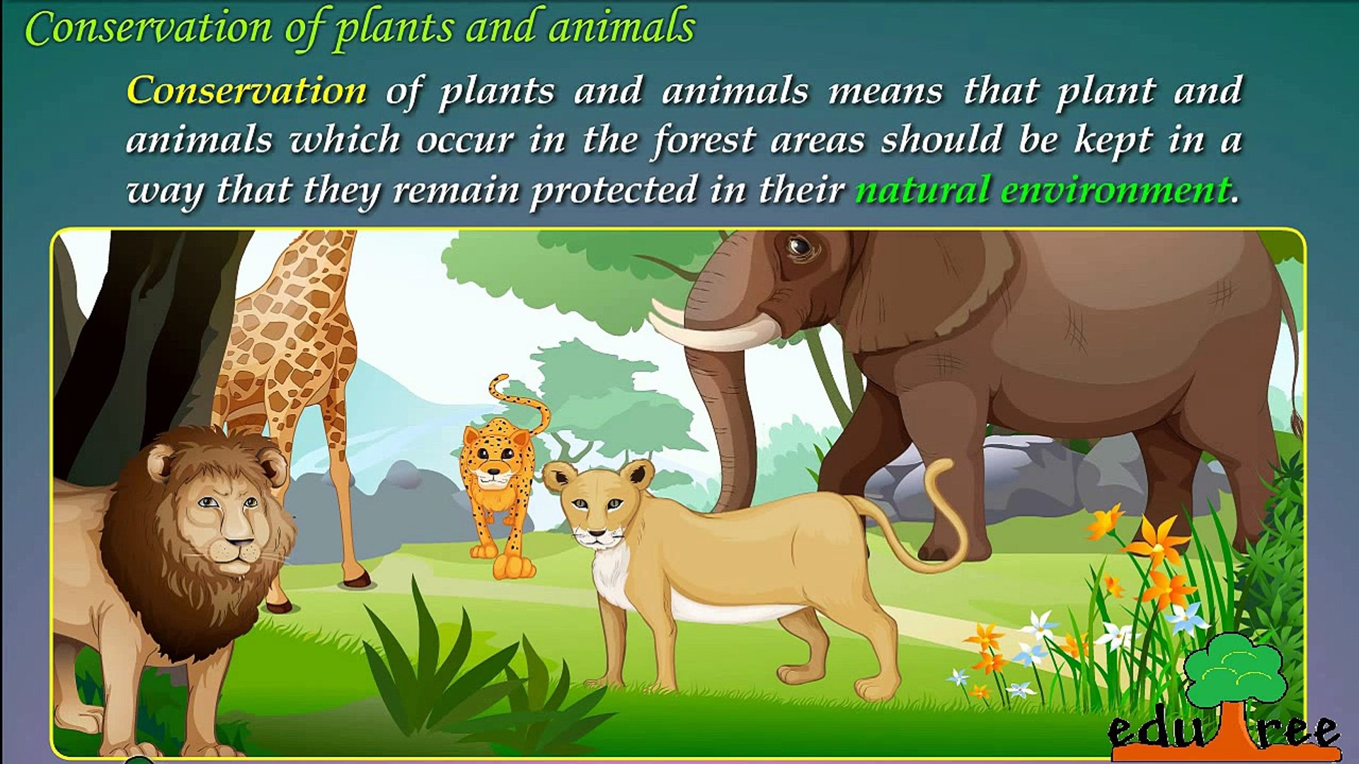 Conservation of plants & animals by edutree HD - video Dailymotion