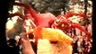 Metz Carnaval et Corso fleurie de la fête de la Mirabelle au début des années 60